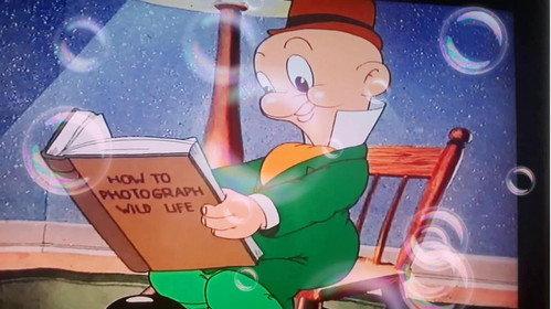 Looney Tunes Spotlight Collection: The Premiere Edition filmas žiurėti online