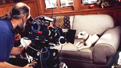 What's the Story, Wishbone? filmas žiurėti online