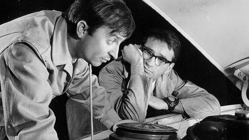 Kochajmy syrenki filmas žiurėti online