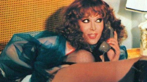 The Maid Seduces the Cowards filmas žiurėti online