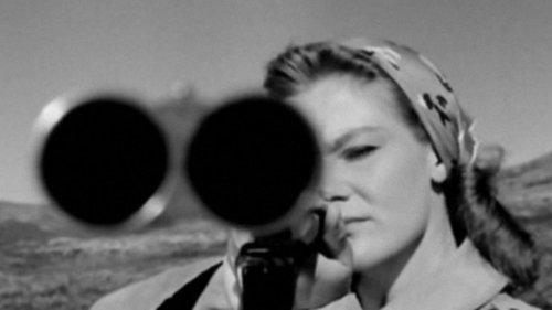 The Chasers filmas žiurėti online