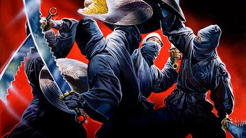 Ninja In The Deadly Trap filmas žiurėti online