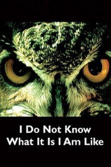 I Do Not Know What It Is I Am Like filmas online