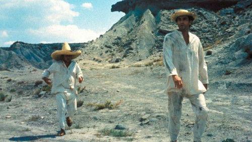 What Am I Doing in the Middle of the Revolution? filmas žiurėti online