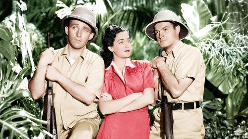 Road to Zanzibar filmas žiurėti online