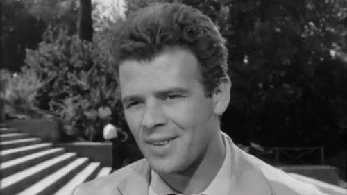 Husbands in the City filmas žiurėti online