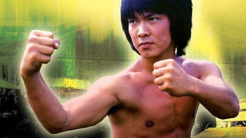 Knockabout filmas žiurėti online