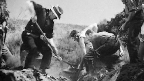 Our Daily Bread filmas žiurėti online