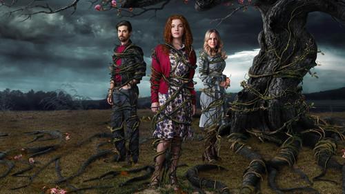 Heaven filmas žiurėti online