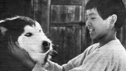 Spirit of the Wind filmas žiurėti online