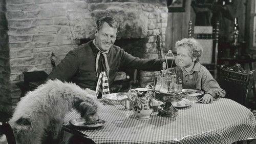 The Lone Hand filmas žiurėti online