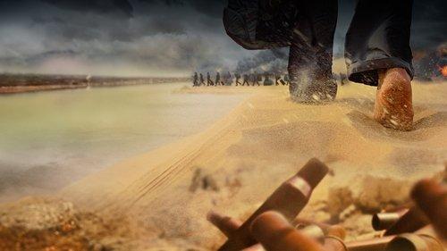 Home Coming filmas žiurėti online