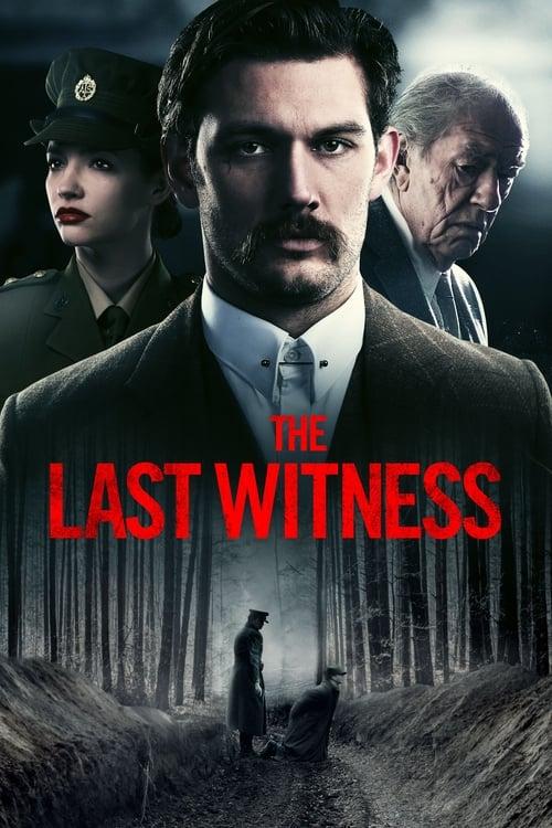 The Last Witness filmas online