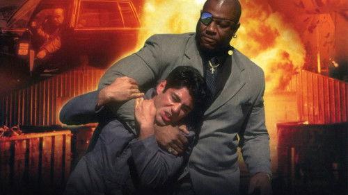 Shark in a Bottle filmas žiurėti online