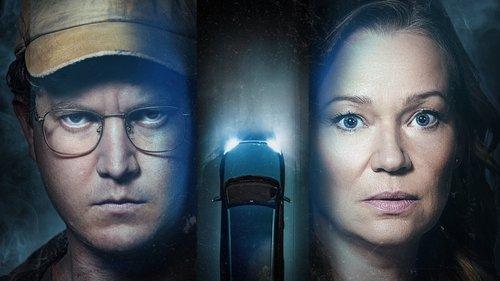 12 Desperate Hours filmas žiurėti online