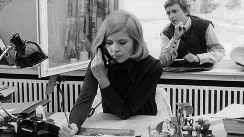 The Dove on the Roof filmas žiurėti online