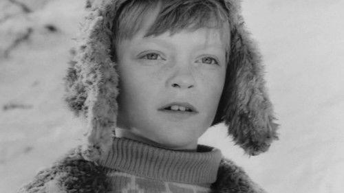 The Large Trampoline filmas žiurėti online