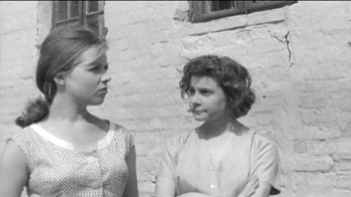 Mission filmas žiurėti online