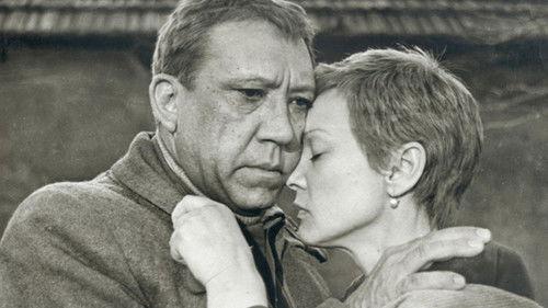 Twenty Days Without War filmas žiurėti online