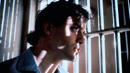 Guilty Until Proven Innocent filmas žiurėti online