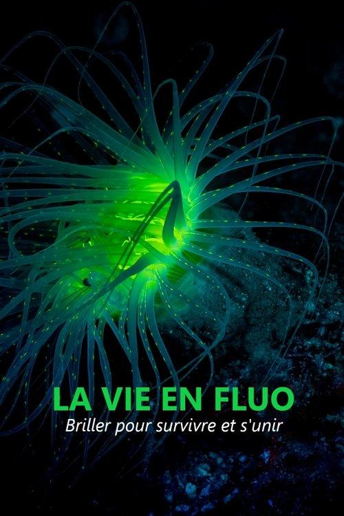 La vie en fluo filmas online