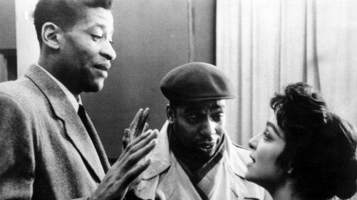 Shadows filmas žiurėti online