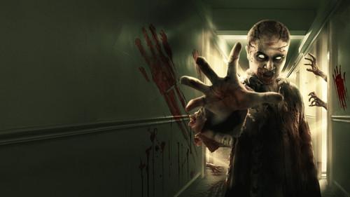 Hall filmas žiurėti online