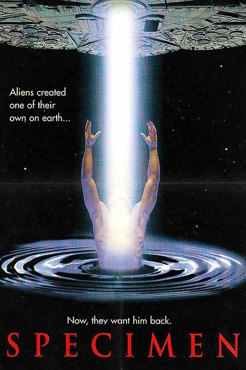 Specimen filmas online