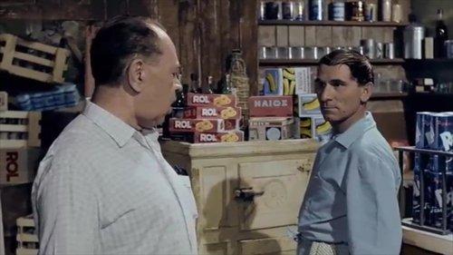 World Gone Mad filmas žiurėti online