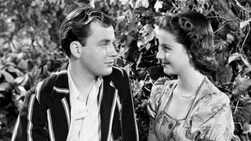 Quiet Wedding filmas žiurėti online