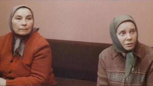 Widows filmas žiurėti online