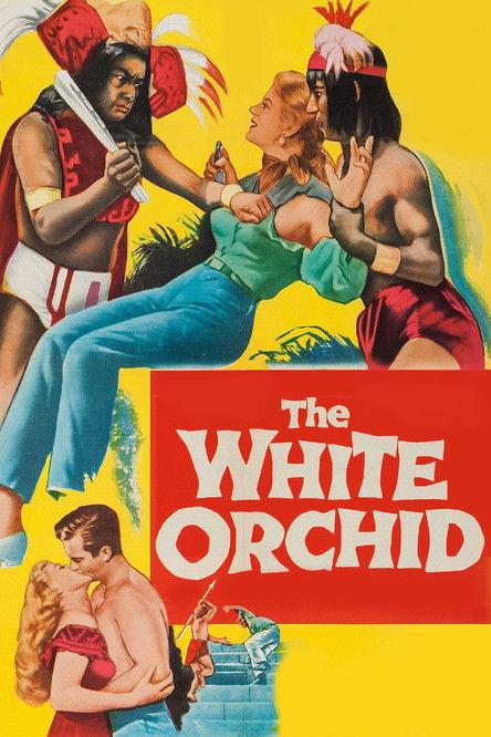 The White Orchid filmas online