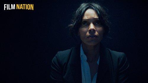 Diary of a Spy filmas žiurėti online