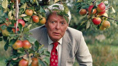 Spring of Joy filmas žiurėti online