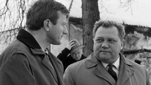 The Murderer Hides His Face filmas žiurėti online