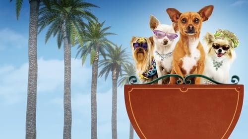 Beverly Hills Chihuahua filmas žiurėti online