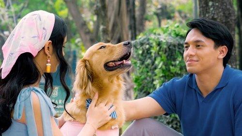 Alibii.com filmas žiurėti online