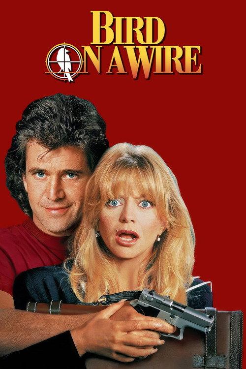 Paukšteli, spruk filmas online