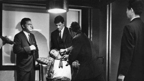 The Cobra filmas žiurėti online