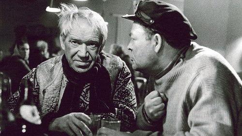 Letters from the Island of the Insane filmas žiurėti online