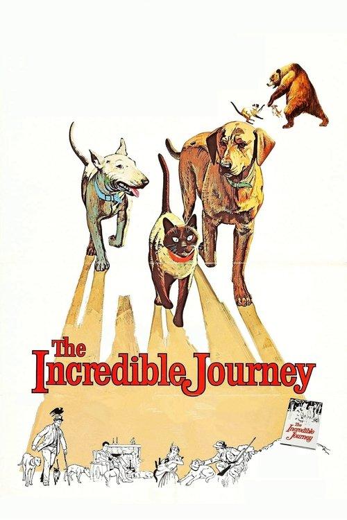 The Incredible Journey filmas online