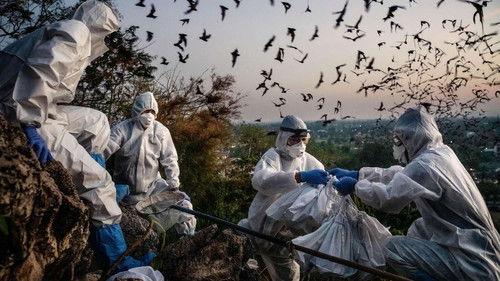 Blame filmas žiurėti online