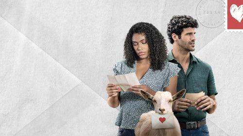 14 Love Letters filmas žiurėti online