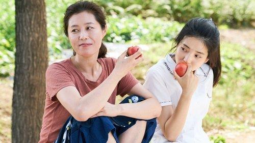 Little Forest filmas žiurėti online