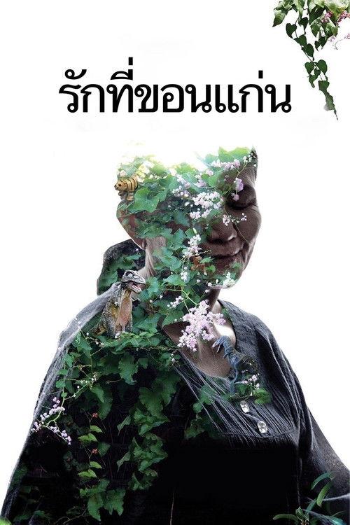 Didybės kapinės filmas online