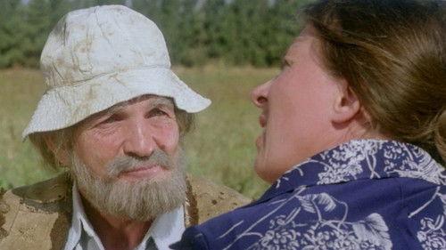 The Fox in the Chicken Coop filmas žiurėti online