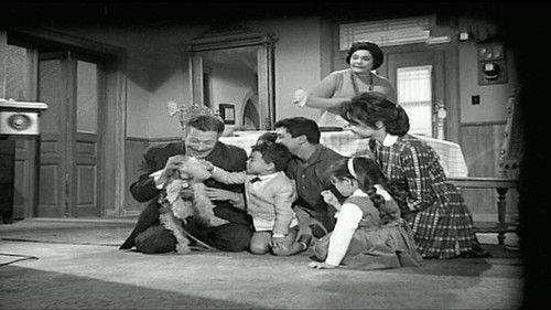 The Mother of the Bride filmas žiurėti online