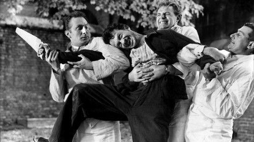 Head Against the Wall filmas žiurėti online