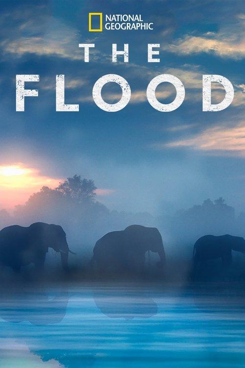 The Flood filmas online