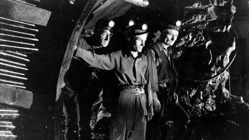 The Brave Don't Cry filmas žiurėti online